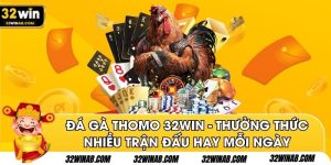Đá Gà Thomo 32win - Thưởng Thức Nhiều Trận Đấu Hay Mỗi Ngày