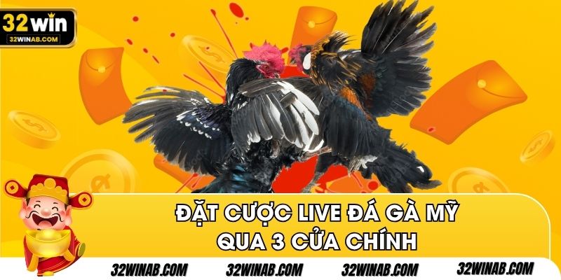 Đặt cược live đá gà Mỹ qua 3 cửa chính
