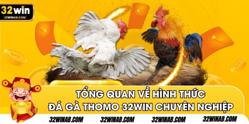 Tổng quan về hình thức đá gà Thomo 32win chuyên nghiệp