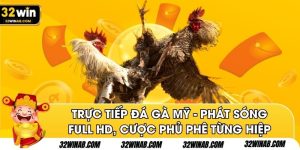 Trực Tiếp Đá Gà Mỹ - Phát Sóng Full HD, Cược Phủ Phê Từng Hiệp